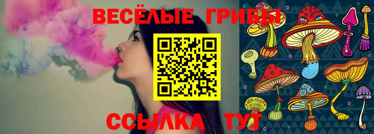 Димитровград  Галлюциногенные грибы прущие грибы  Вход с VPN 